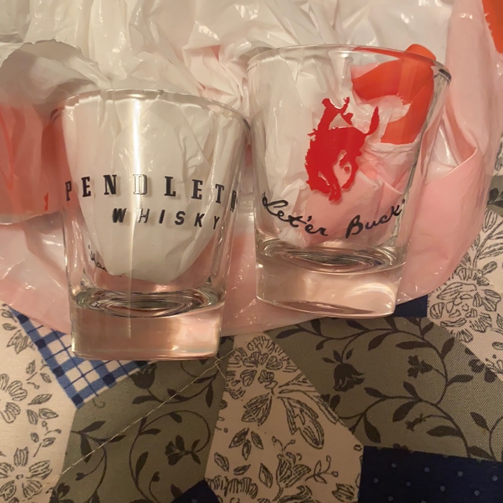 🥃 Set of 2 Pendleton Whisky Shot Glasses 🥃